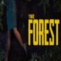 the forest聯(lián)機(jī)存檔后自己能玩嗎