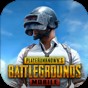 pubg國(guó)際服官方服